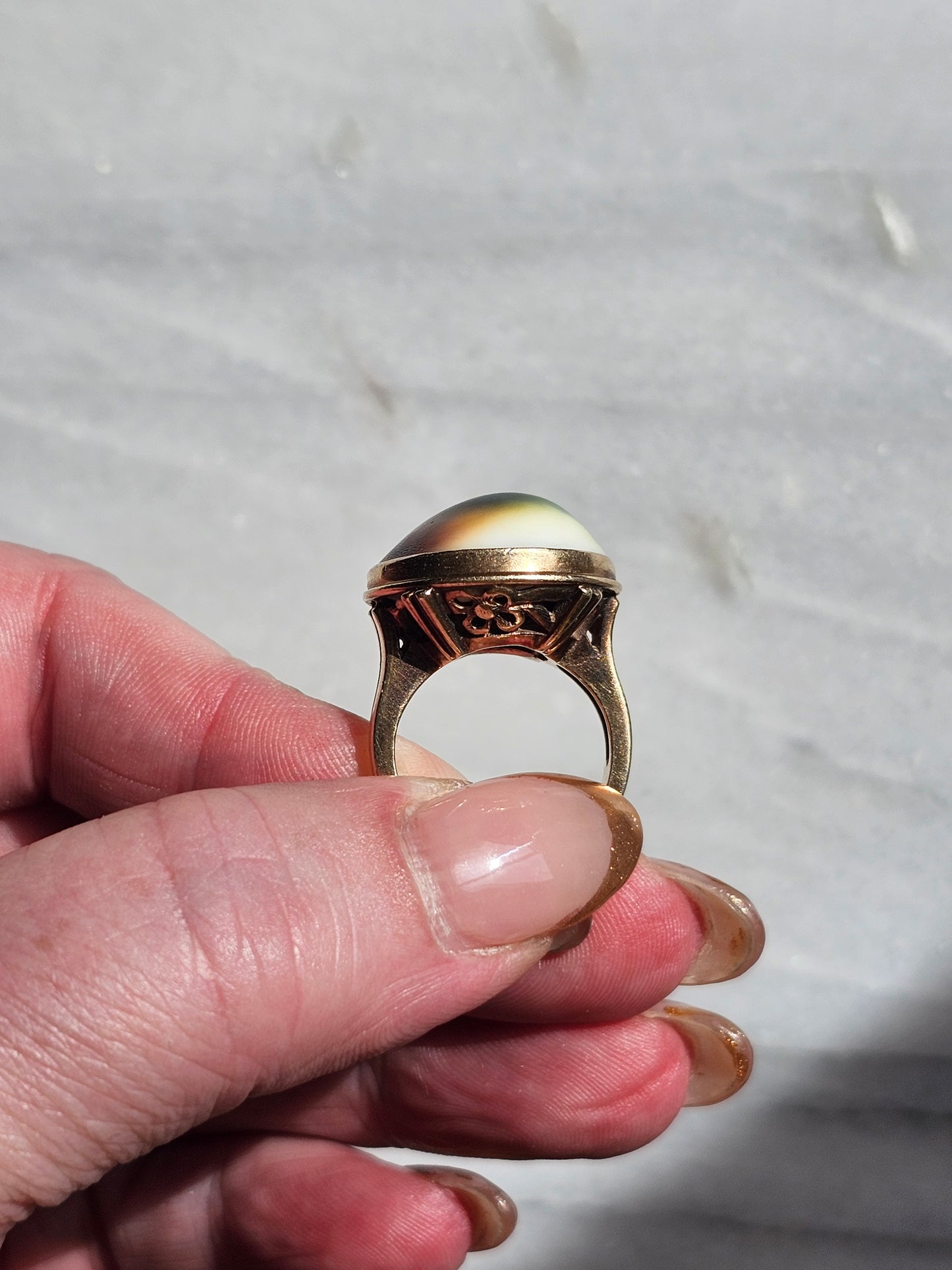 Cat's eye operculum Vintage Gold ring - 10k Solid Gold